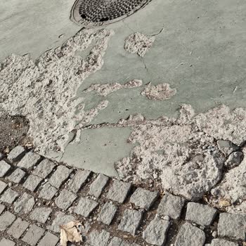 ABB - Ankara Büyükşehir Belediyesi Parkların Temizliği Onarımı