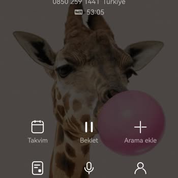 Keikei Ne Elbisem Var Ne Param