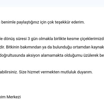 Çiçek Sepeti 14 Şubat Sürprizi