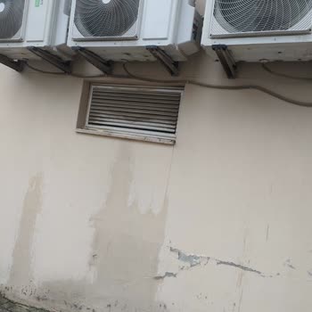 BİM Sokak Şubesi Gürültüsü Ve Duvar Çürümesi Sorunu