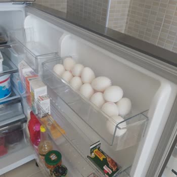 Bosch Buzdolabımda Sürekli Arıza Hayal Kırıklığı