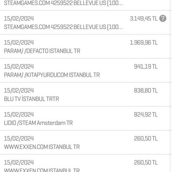 Enpara Kredi Kartı Banka Güvenlik Zaafiyeti