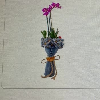 My Garden Çiçekçilik Sipariş Teslimat Ve Ürün Sıkıntısı