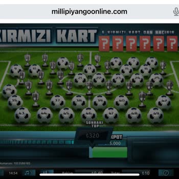 Milli Piyango 250 TL Yi Hesabıma Geçmedi