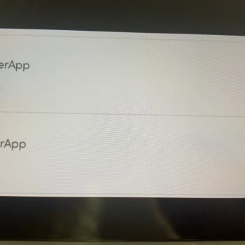 Ozan Elektronik Para Online Alışverişte Yaşanan Mağduriyet