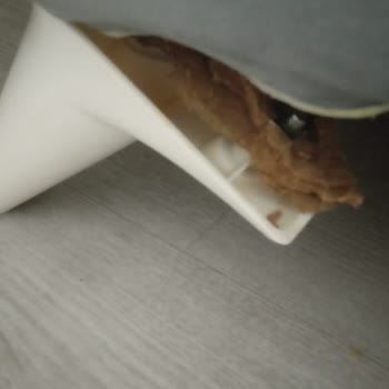 Bellona Baza Ayak Bağlantı Problemi