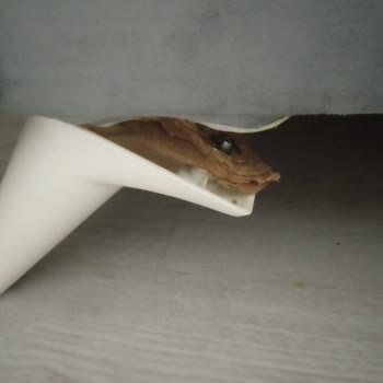 Bellona Baza Ayak Bağlantı Problemi