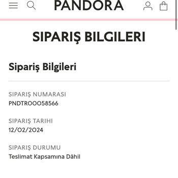 Pandora Mücevher Pandora Kargo Sorunları