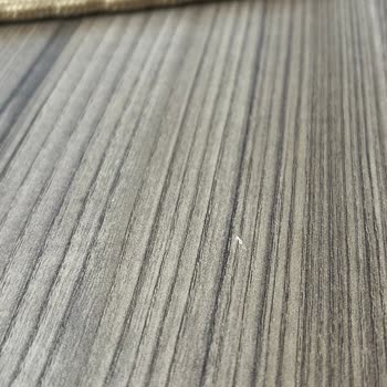 Mondi Home Erzurum Beni Dinlemiyor