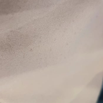 LCW Tüy Toplayan Ceket