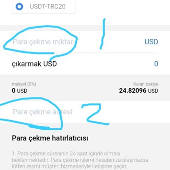 Amazon Müşteri Deneyimi: Beklentilerin Altında
