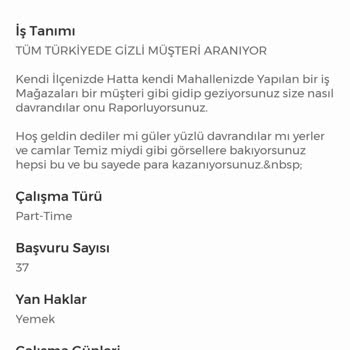 İşin Olsun Gözlem Gözlem Elemanı İş Başvurusu