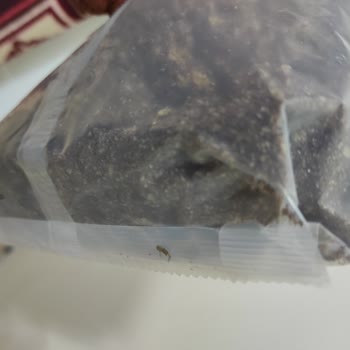 Nestle Pirinç Gevreği Ölü Sinek Çıktı