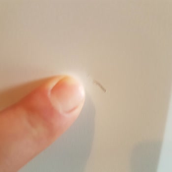 Regal Yetkili Servis Ve Müşteri Hizmetleri Mağduriyeti