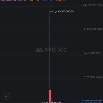 Mexc Borsasında Listelenen Coinlerde Sorun