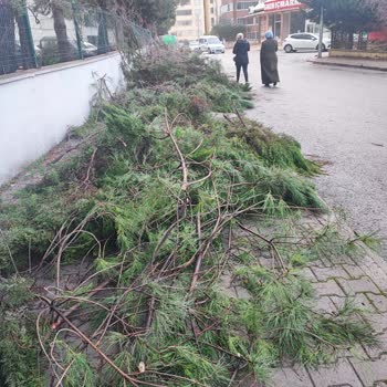 Kahramanmaraş Büyükşehir Belediyesi Okul Yolu Temizliği