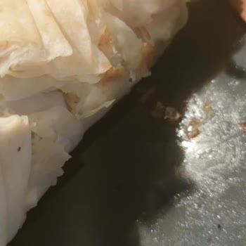 Bosch Marka Ankastre Fırın Pişirmiyor