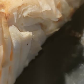 Bosch Marka Ankastre Fırın Pişirmiyor