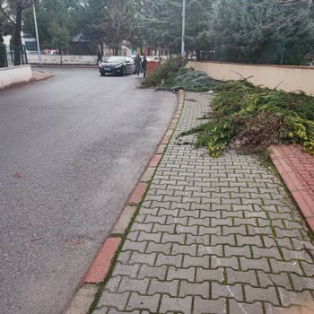 Onikişubat Belediyesi Okul Yolunda Sıkıntı Büyük