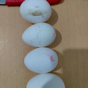 Şok Market Yumurta Gramaj