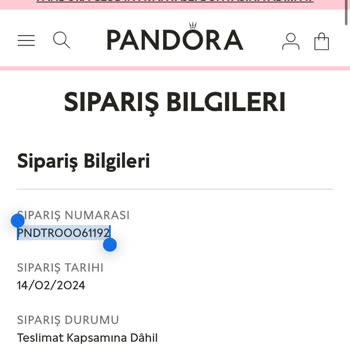 Pandora Mücevher Pandora Bileklik Kargoya Verilmedi