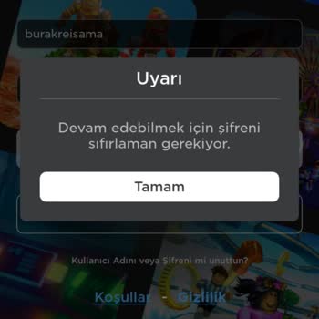 ROBLOX Hesaptan Çıkarken E Postayı Girmeyi Unutum