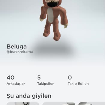 ROBLOX Hesaptan Çıkarken E Postayı Girmeyi Unutum