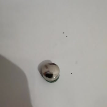 Duracell Pil Yüksek Sesle Patladı!