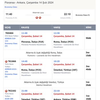 THY Bavulumu Kaybetti Getirdiğinde De İçindekileri Kırık Getirdi.