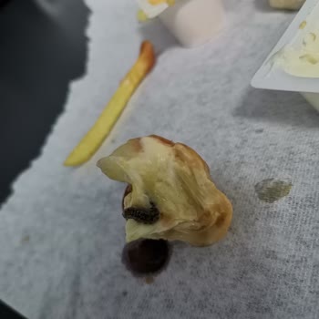 Burger King Ürününden Kurt Çıktı