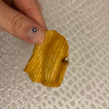 Ruffles İçinden Böcek Çıktı