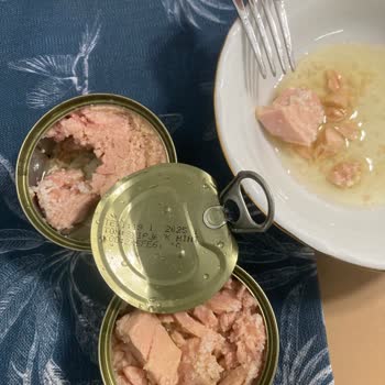 Dardanel Ton Balığı İçerisindeki Bilinmeyen Beyaz Madde