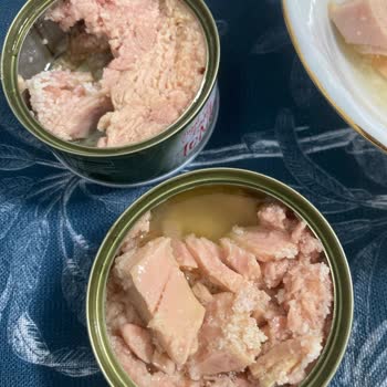 Dardanel Ton Balığı İçerisindeki Bilinmeyen Beyaz Madde