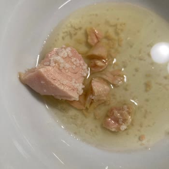 Dardanel Ton Balığı İçerisindeki Bilinmeyen Beyaz Madde