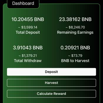 Bnb Daily Finance Sisteminde Yaşadığım Sorun