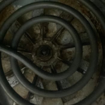 Philips Airfrey Küflenme Sorunu