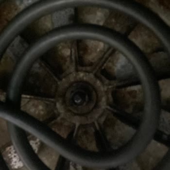 Philips Airfrey Küflenme Sorunu