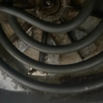 Philips Airfrey Küflenme Sorunu