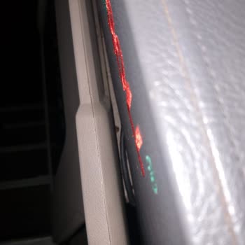 Pamukkale Turizm Otobüste Böcek Çıkması