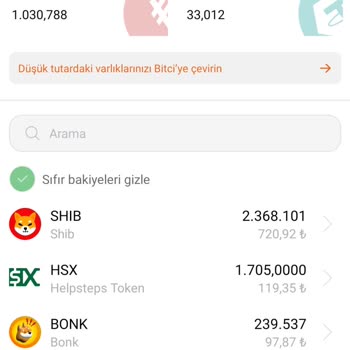 Bitci Hsx Token Coin