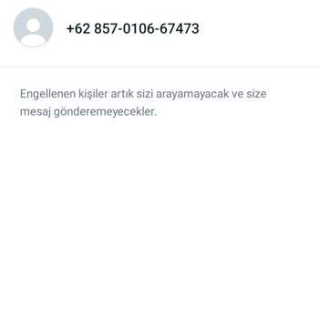 WhatsApp +62 Kodlu Endonezya Mesajı