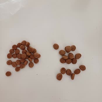 Royal Canin Çiçek Sepeti Satıcılarına Dikkat