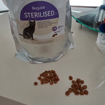 Royal Canin Çiçek Sepeti Satıcılarına Dikkat