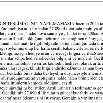 Fehlende Türkische Lira-Zahlungen und fehlende Produktlieferungen von Zao Mobilya