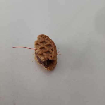 Eti Gıda Eti Bisküviden Kablo Çıktı
