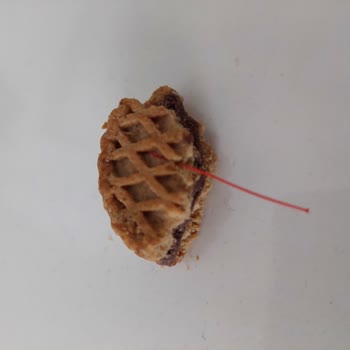 Eti Gıda Eti Bisküviden Kablo Çıktı