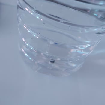 Kayın Su Siyah Taneli Su