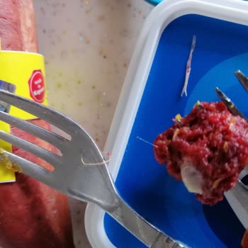 Şahin Sucuk Kıl Plastik Cıktı