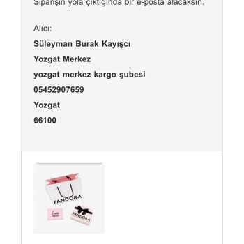 Pandora Mücevher Pandora'dan Satın Aldığım Ürünle İlgili Kargo Takip Bilgisi Almadım