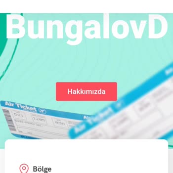 Kültür ve Turizm Bakanlığı İnternet Sitesi Güvenlik Sorunları Ve Mağduriyetler